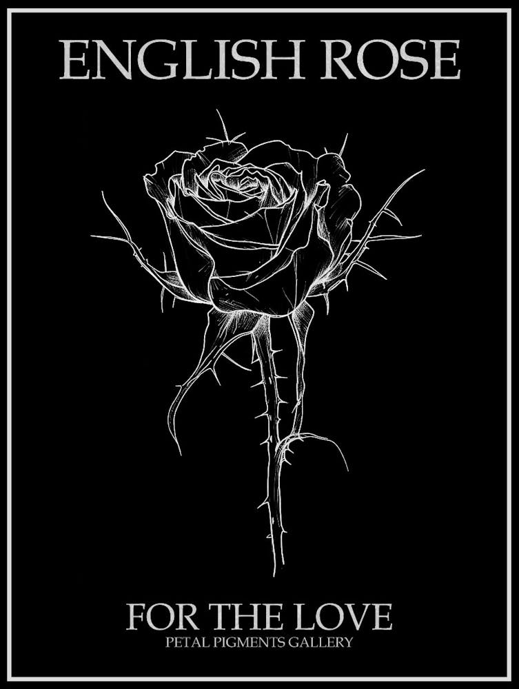 English Rose Black And White Line Drawing 32 Poster Inverted