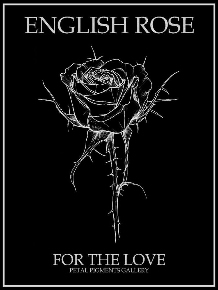 English Rose Black And White Line Drawing 32 Poster Inverted