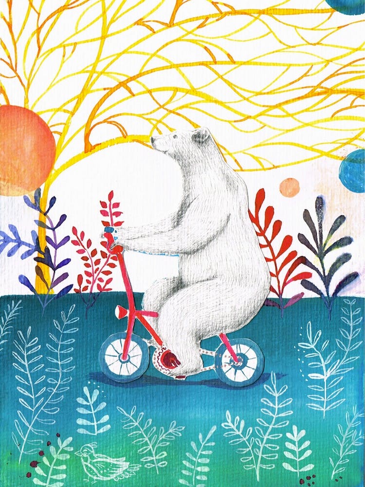 Bear on a Bike