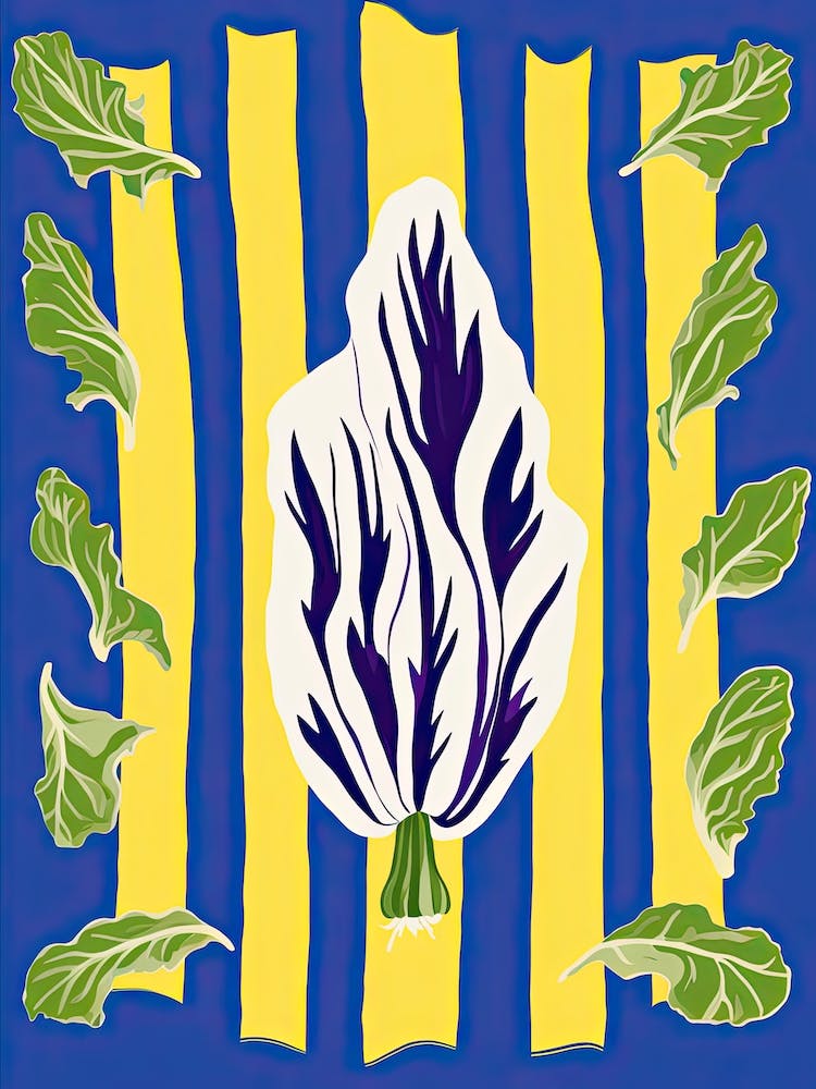 Endive Summer Illustration 3