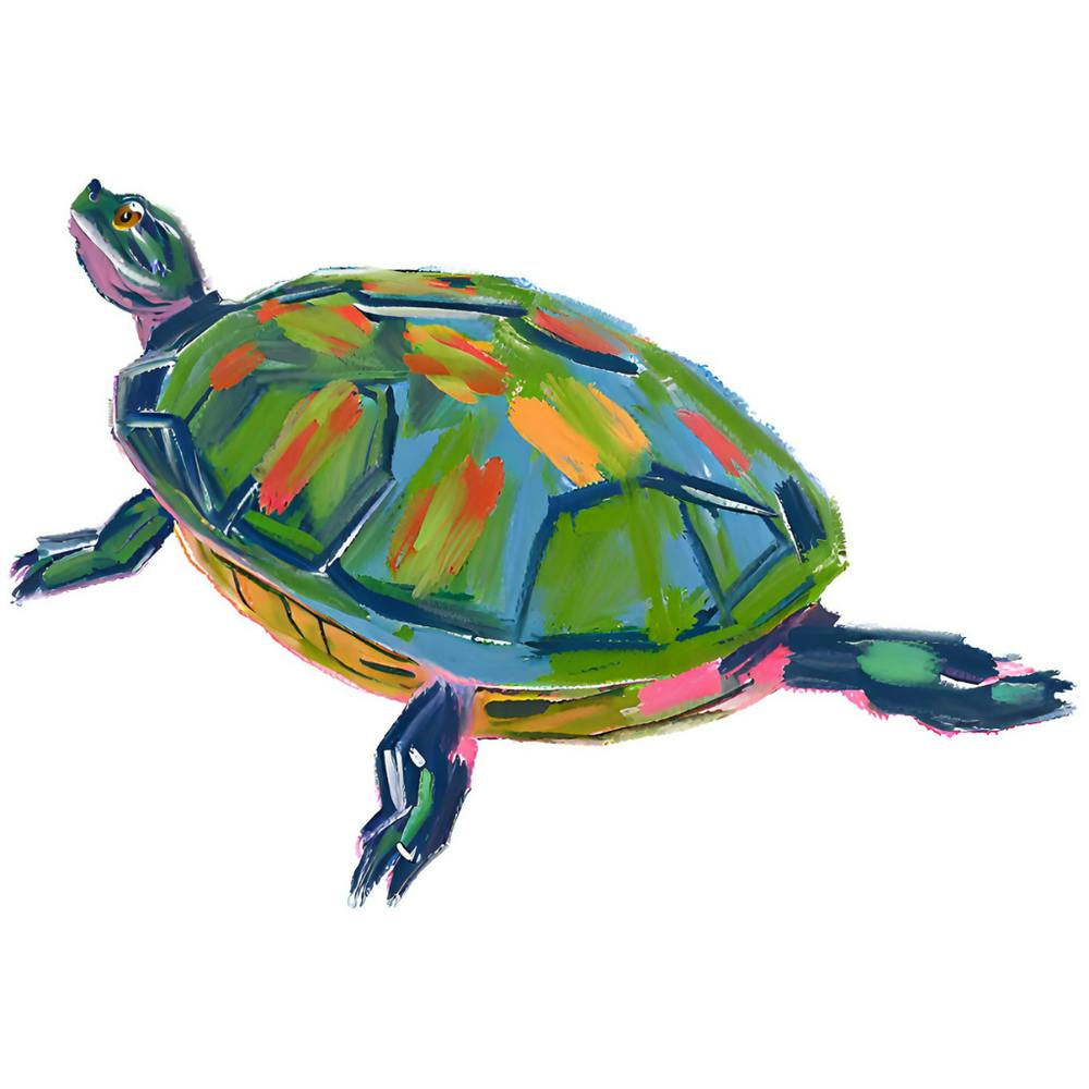 Painted Turtle 06