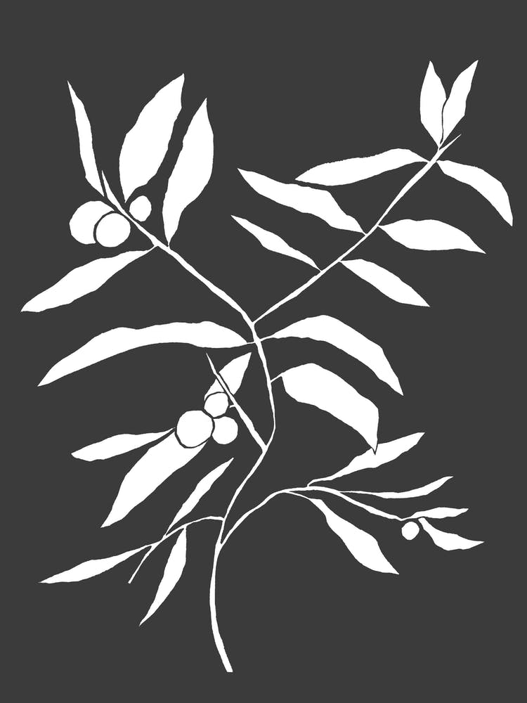 White Busy Branch