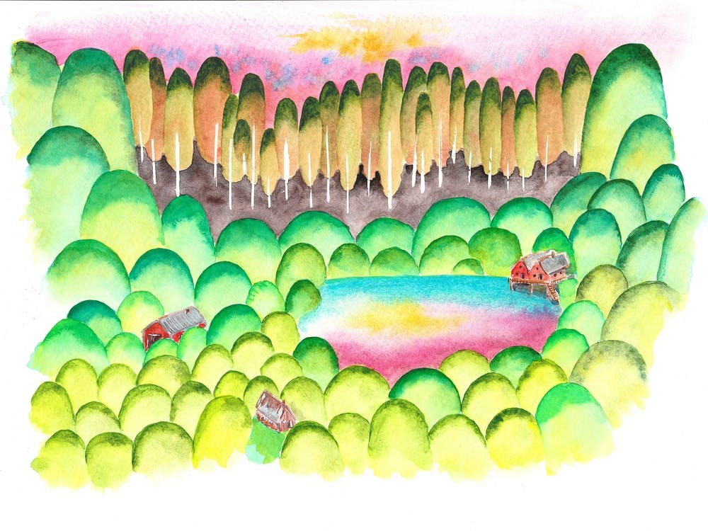 Lake In The Woods