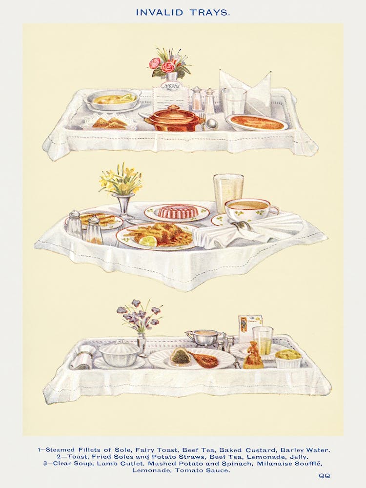 Invalid Trays Steamed Fillets Of Sole