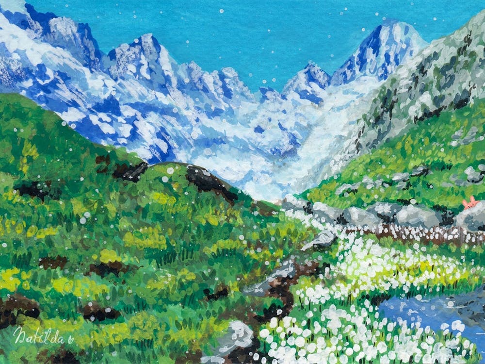 Valley Of Flowers