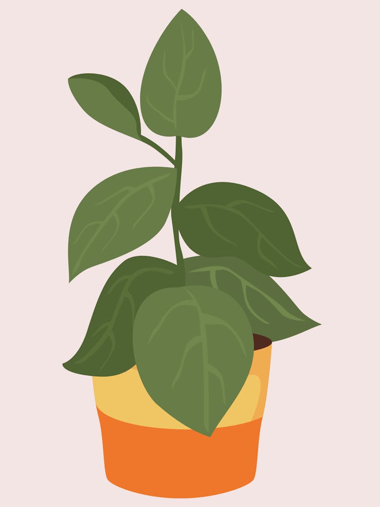 Mid Century Potted Plant