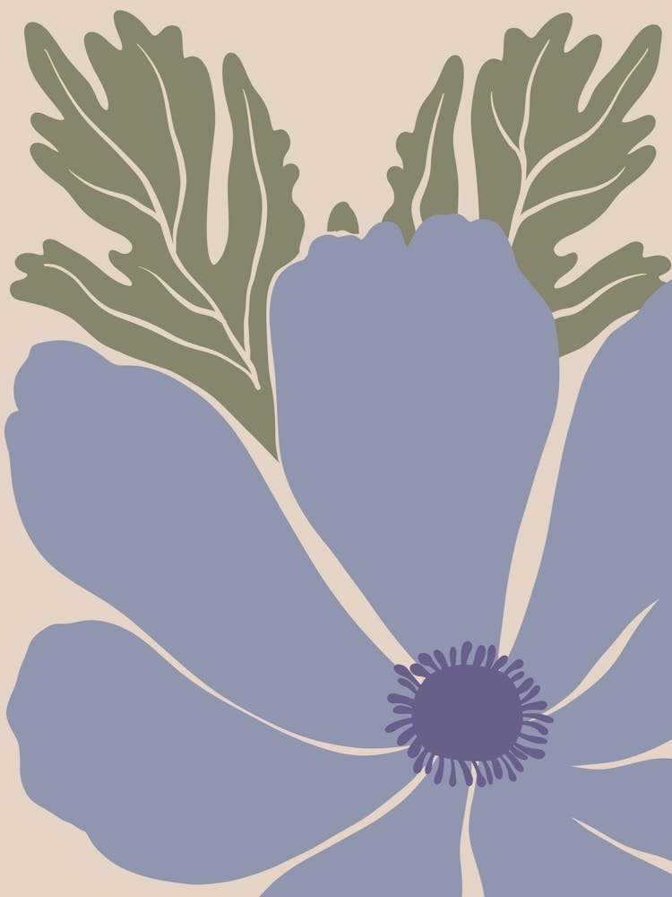 Blue Poppy 1