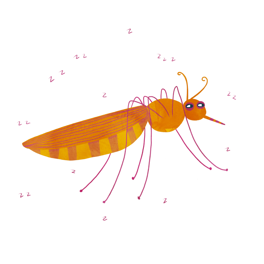 Mosquito