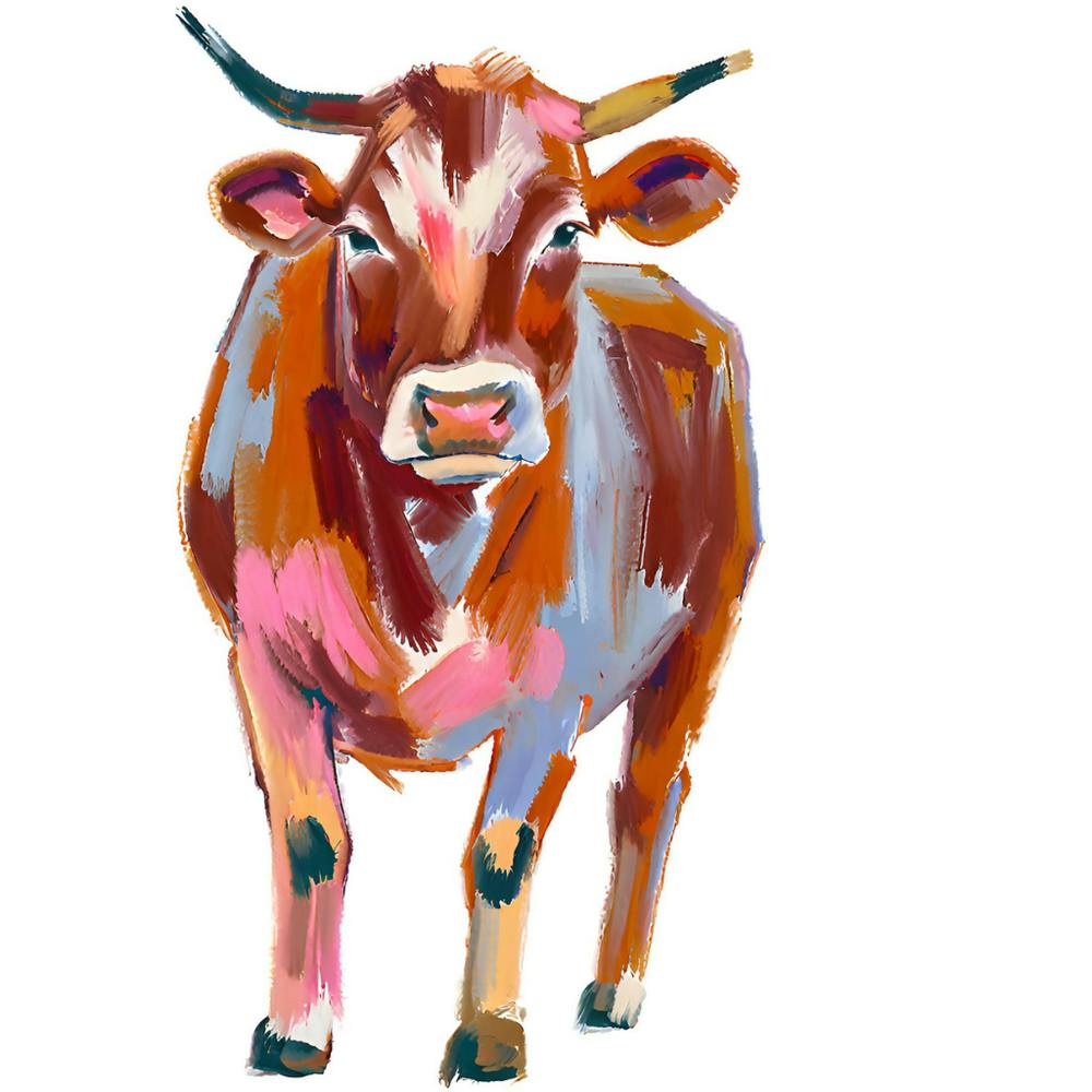 Hereford Cow 01