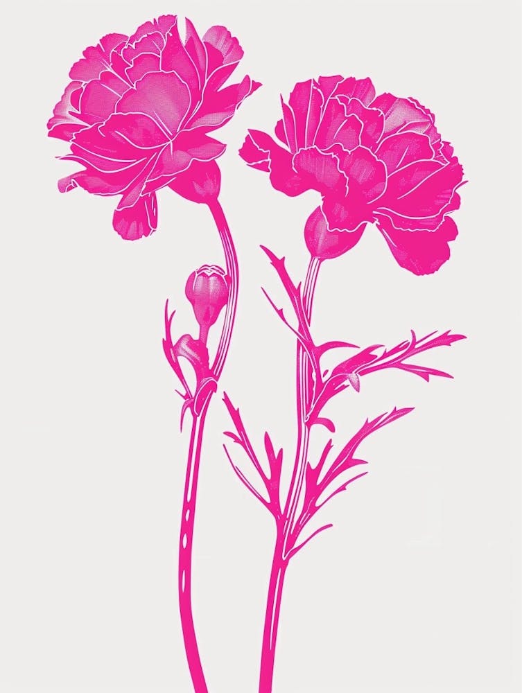 Hot Pink Marigold 1