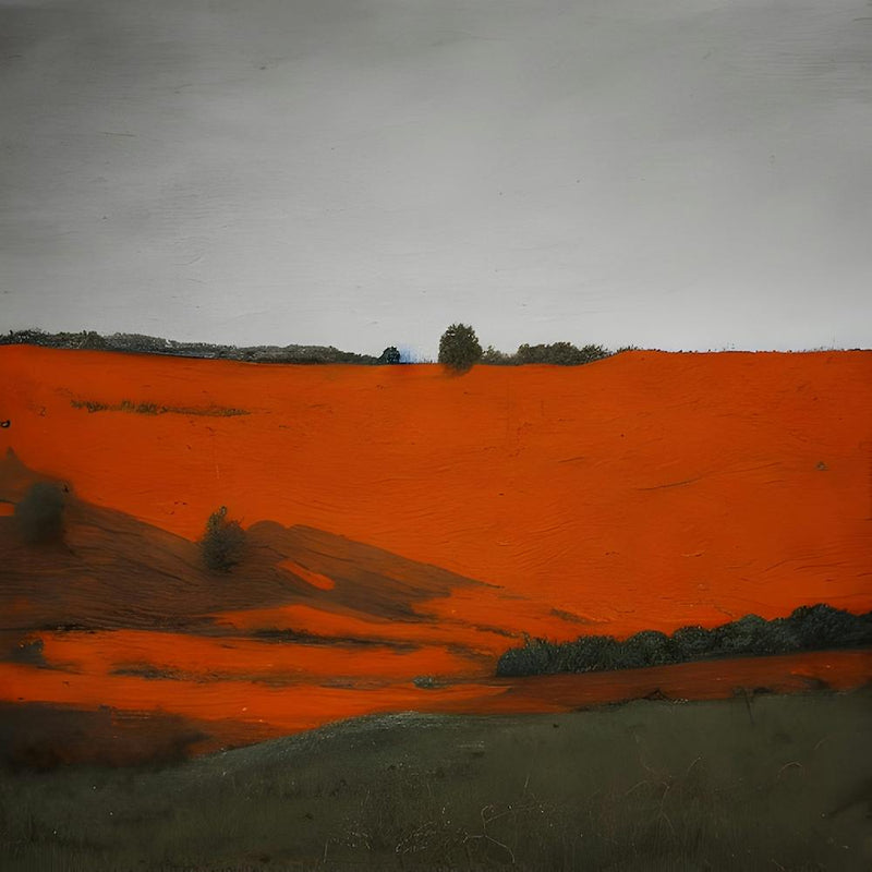 Hillside Field 2023