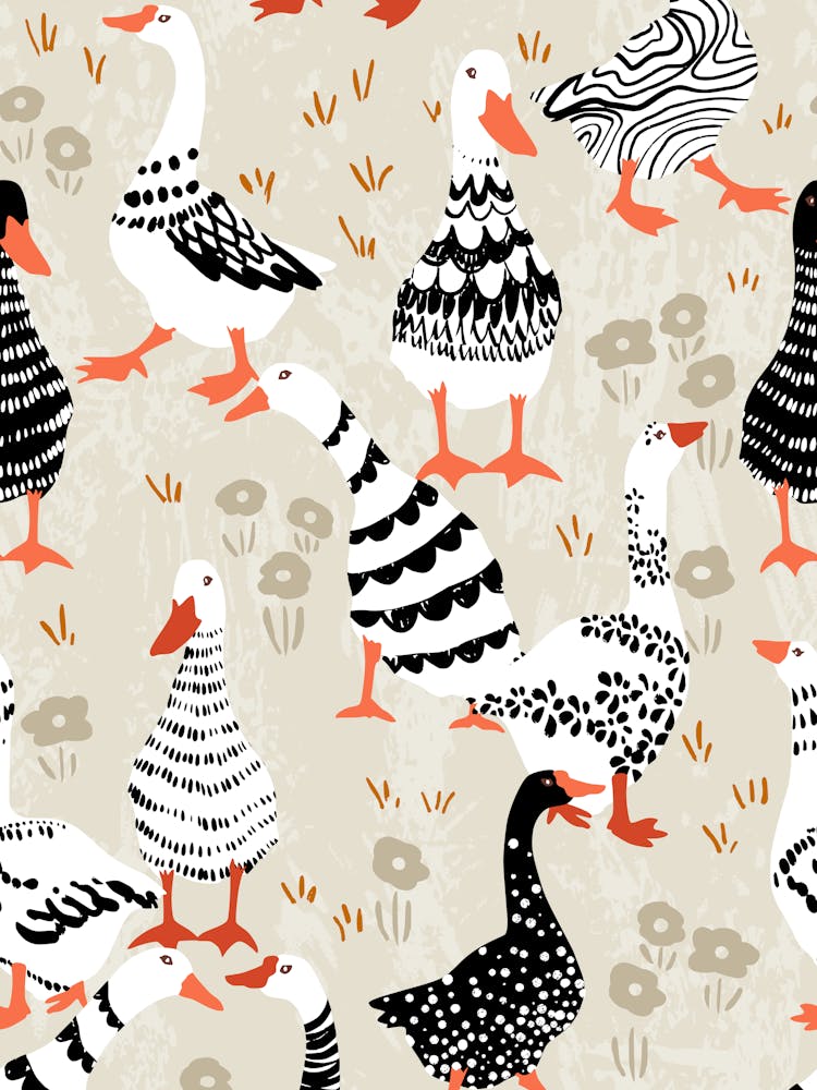 geese black and white patterned farm animals