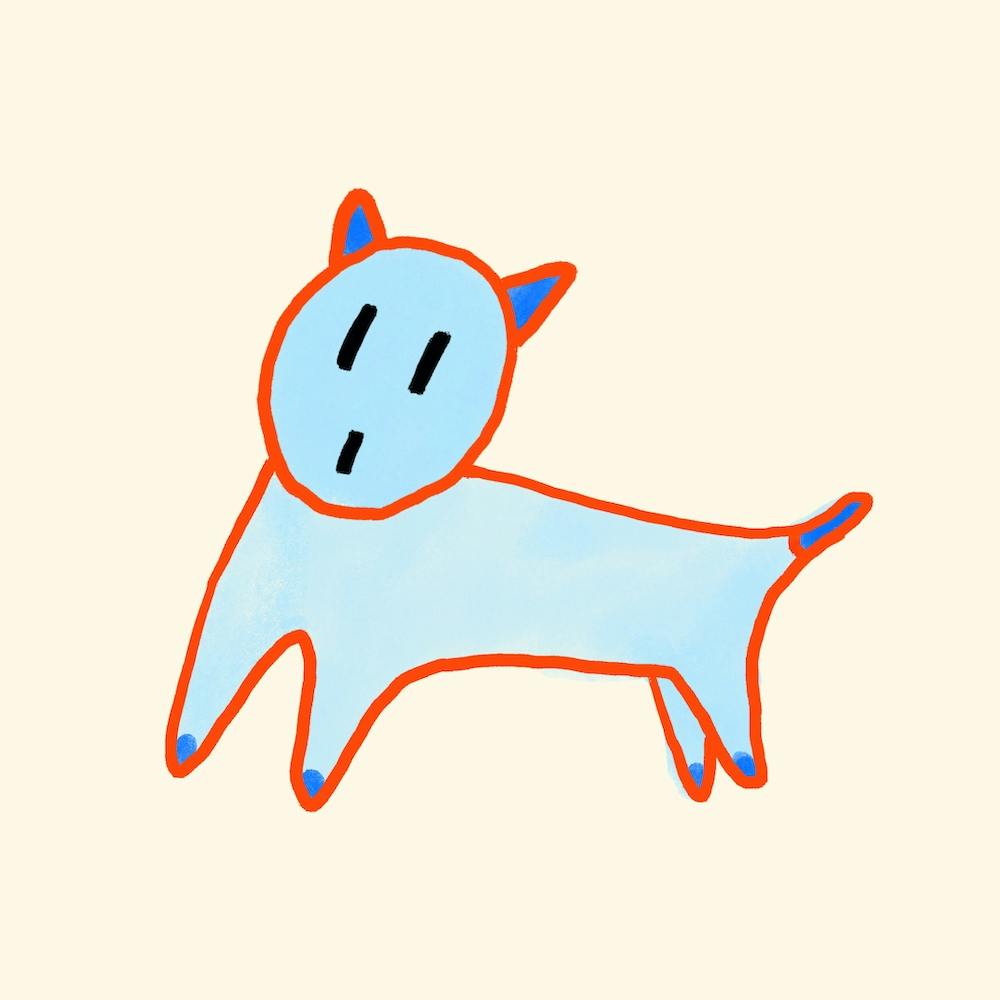 Blue tailed fox 🦊