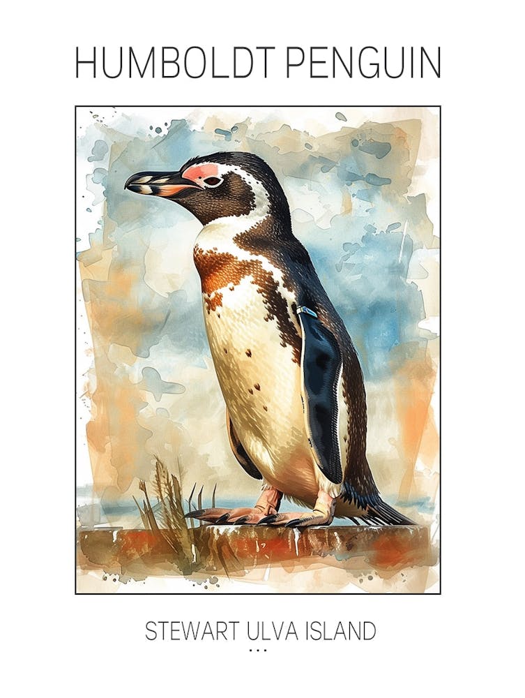 Humboldt Penguin Stewart Island Ulva Island Watercolour Painting 2 Poster