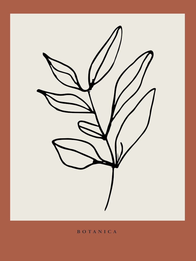 Botanica line no 04