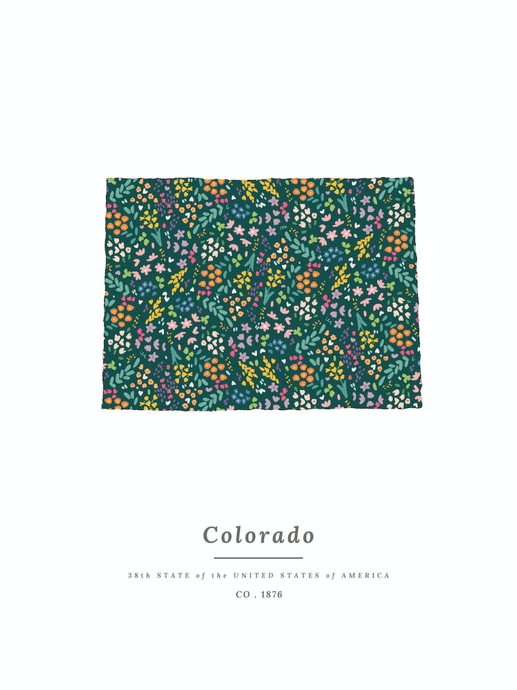 Colorado State | Wildflowers on Juniper Green