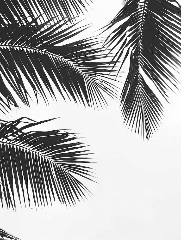 Black And White Palm Leaves 3