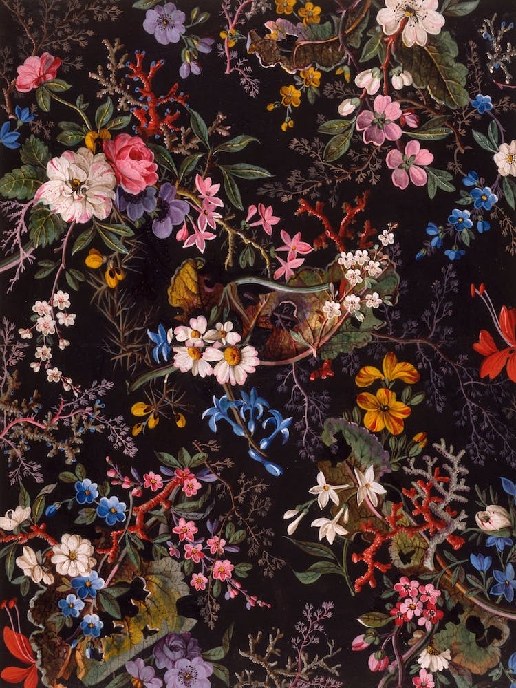 Decorative Floral Pattern