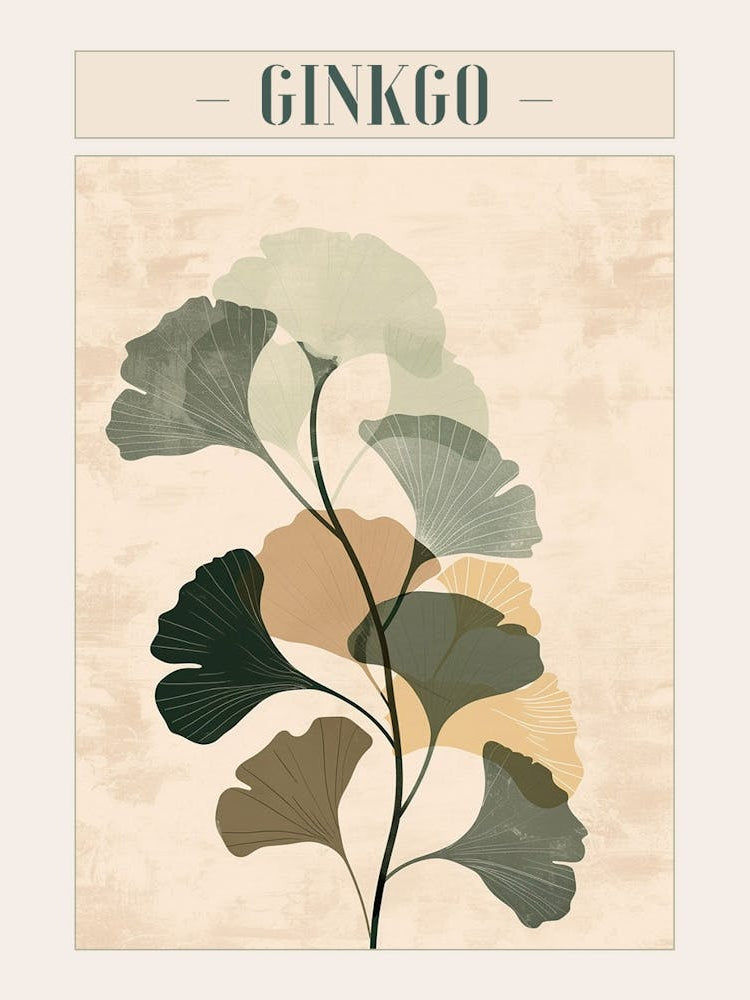 Ginkgo Tree Minimal Japandi Illustration 2 Poster
