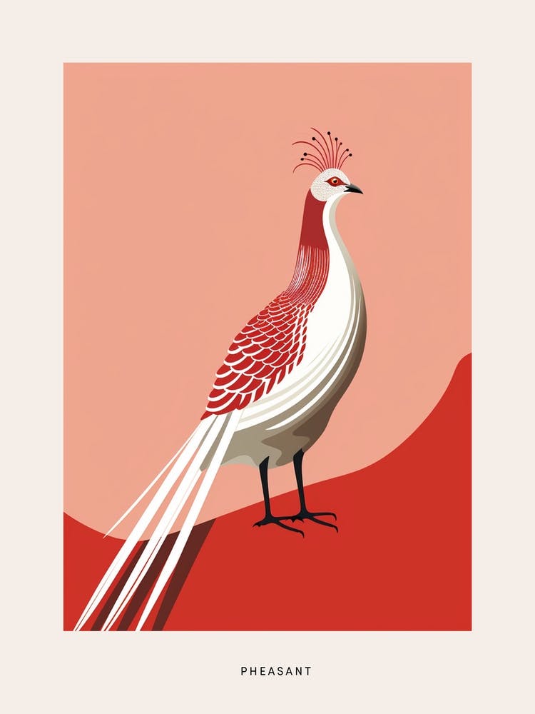 Minimalist Pheasant 4 Bird Poster