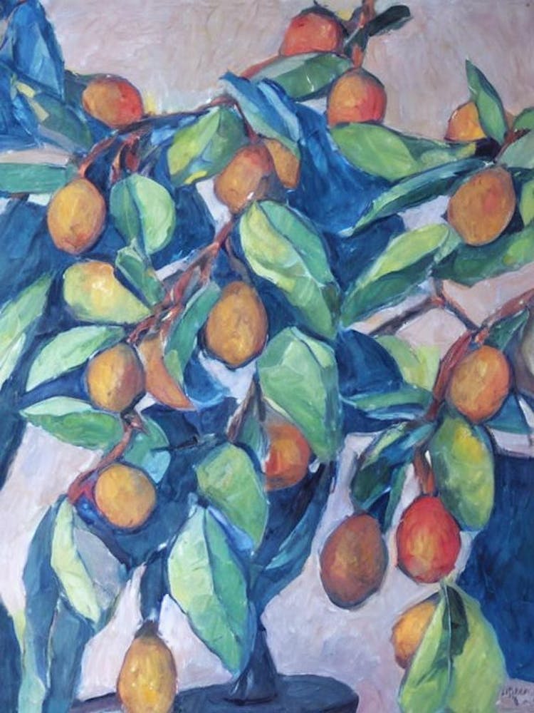 Loquat 1 Classic Fruit