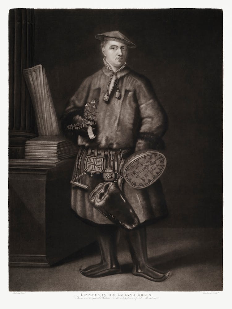 Carl Linnaeus In Lapland Dress From The Temple Of Flora (1807), Robert John Thornton