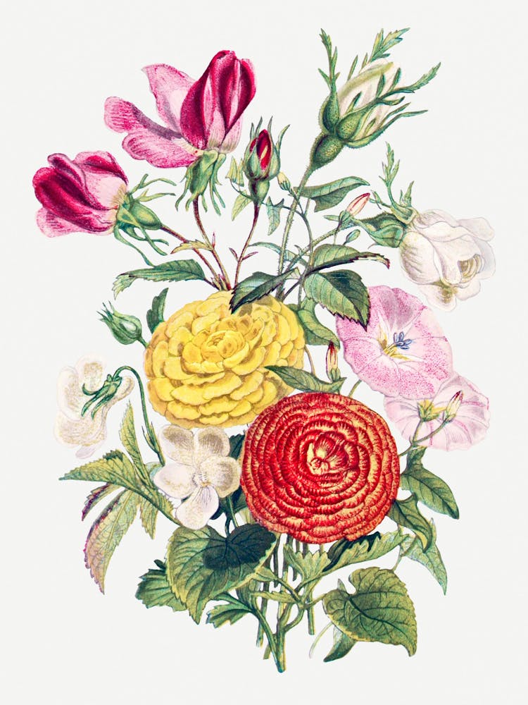 Bouquet Of Flowers 4