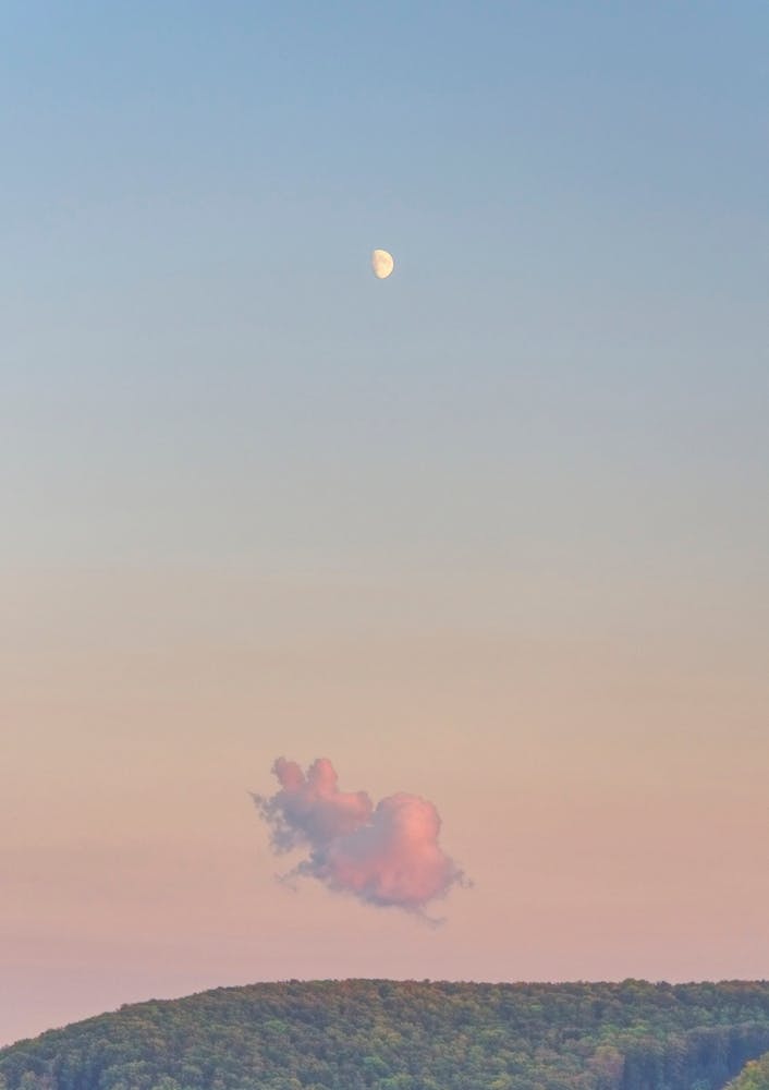 Forest Cloud Moon