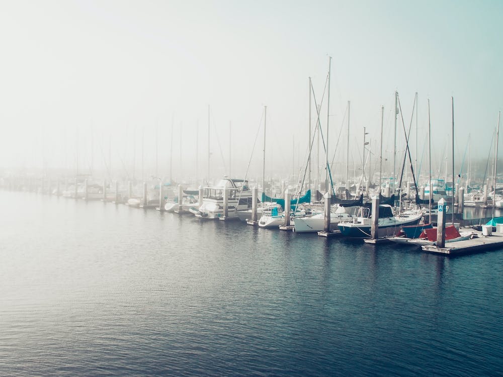 Morgennebel über Monterey Bay
