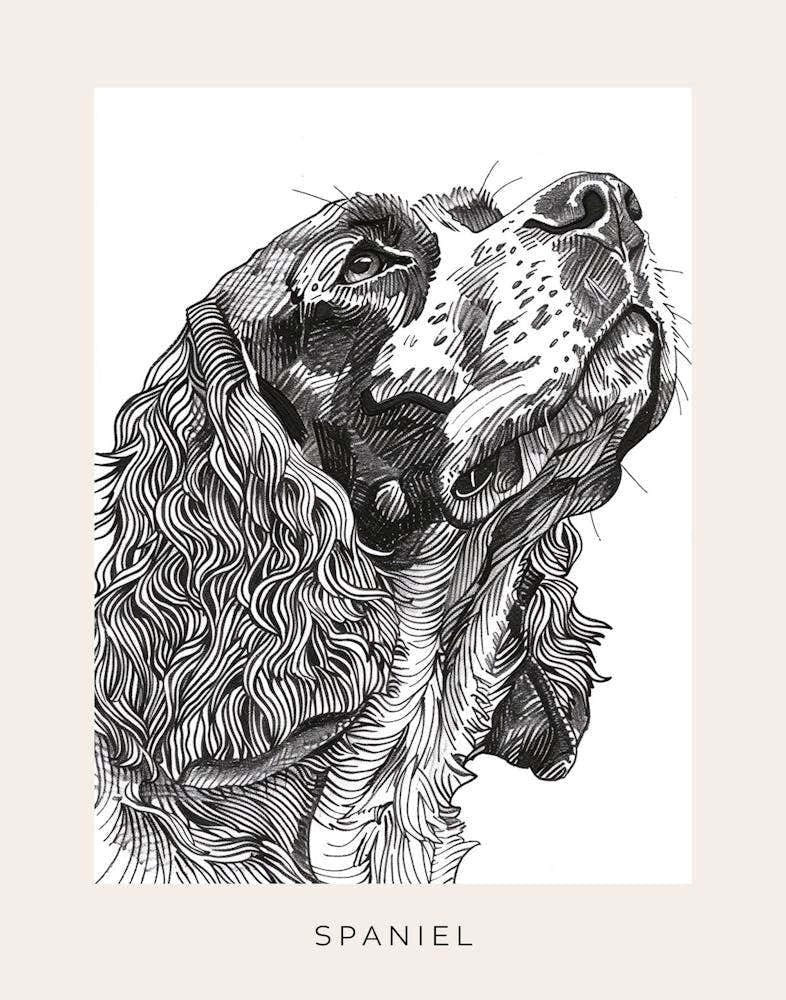 Spaniel Minimal Line Sketch Poster