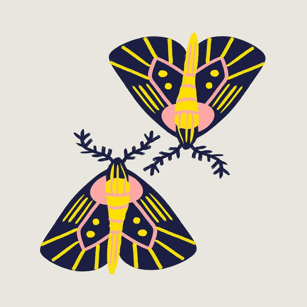 Moths Square
