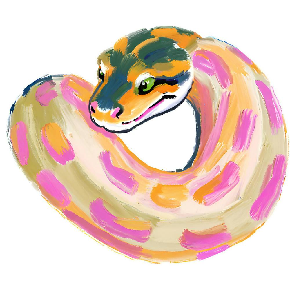 Ball Python Snake 08