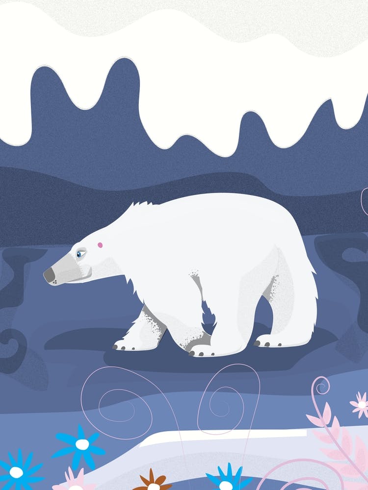 Cute Polar Bear