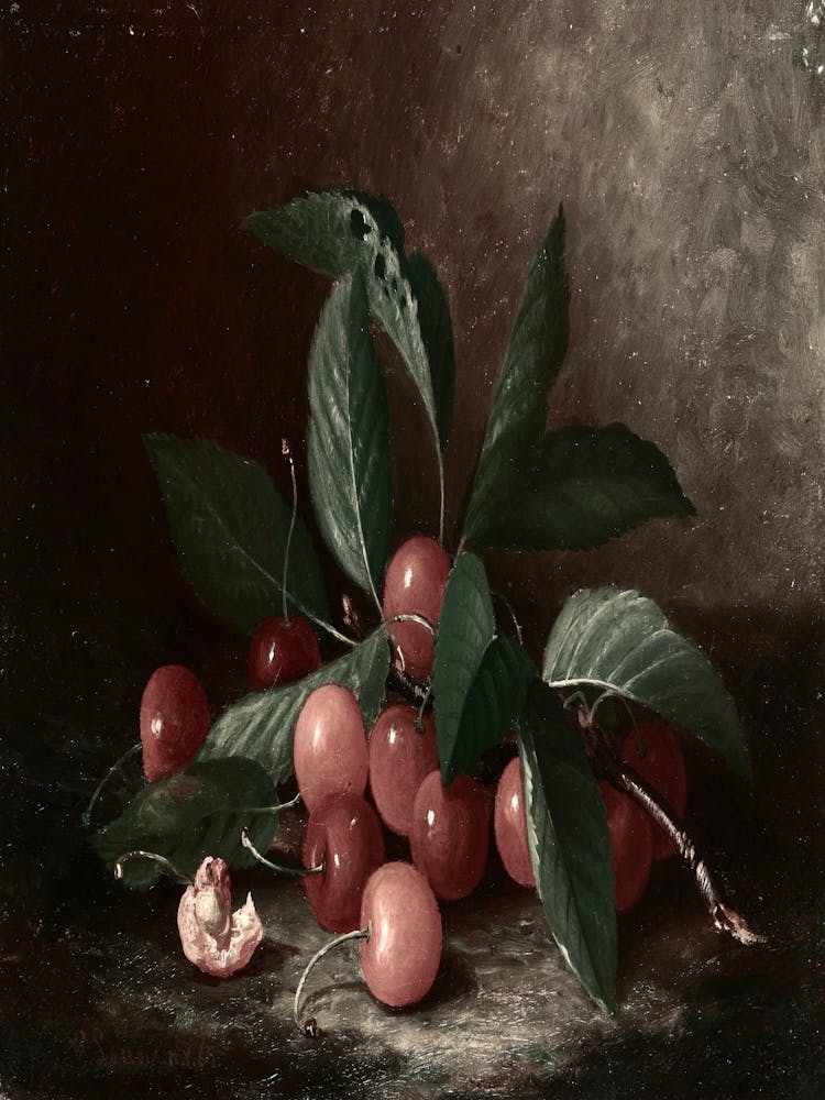 Cherries And Leaves