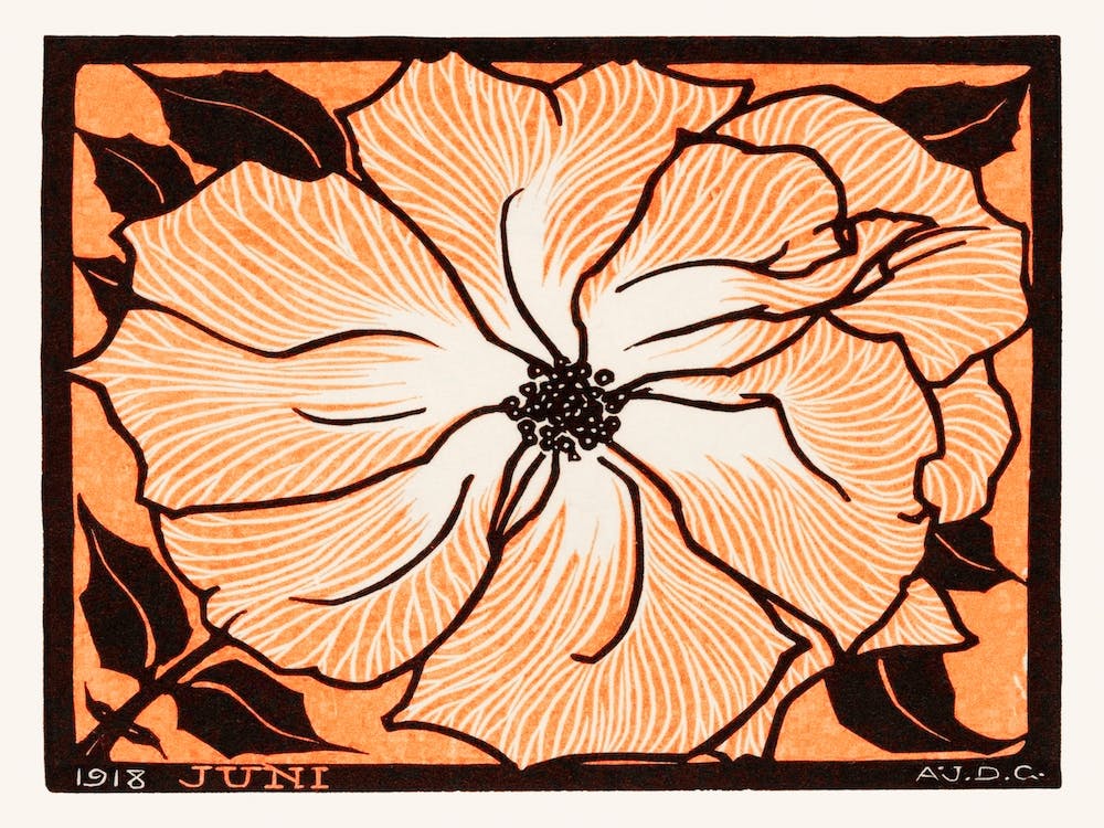 June Orange, Julie De Graag