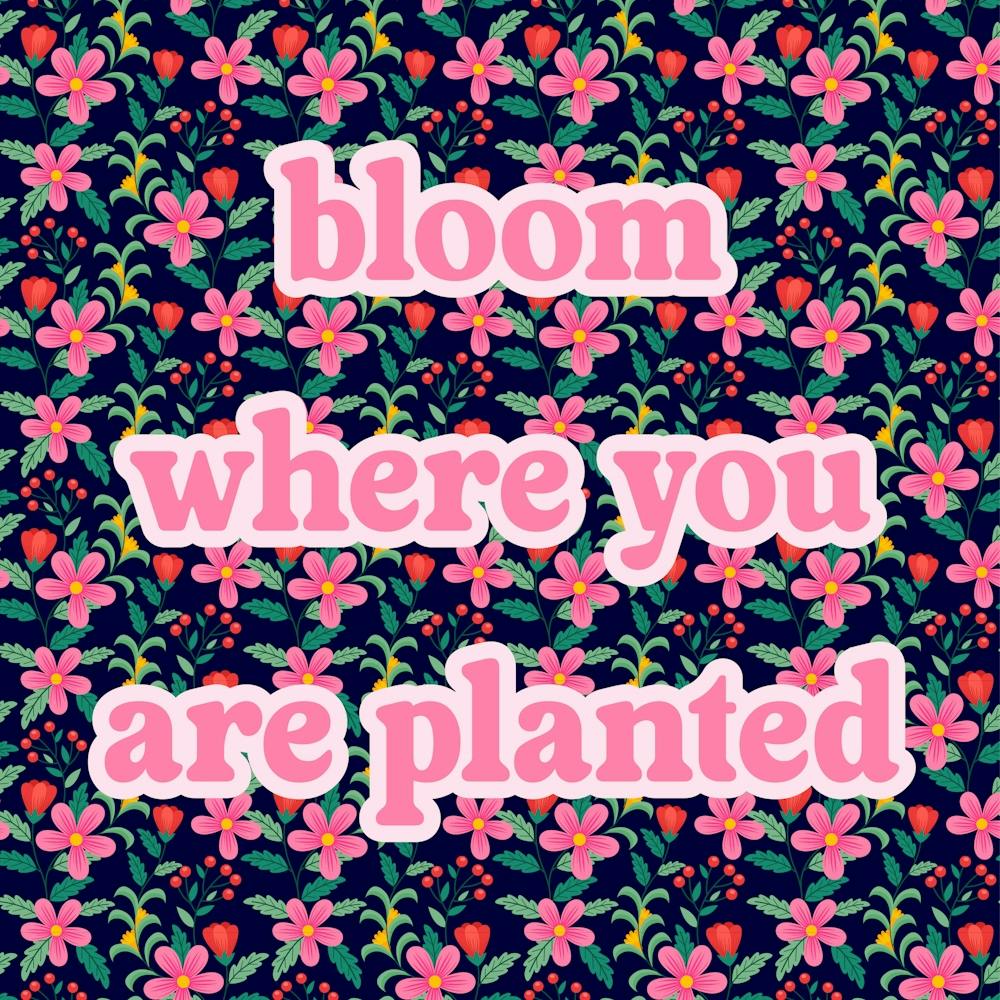 Bloom Where You Are Planted