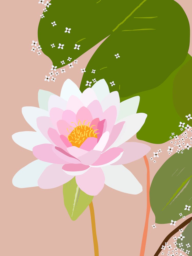 Water Lily | 04