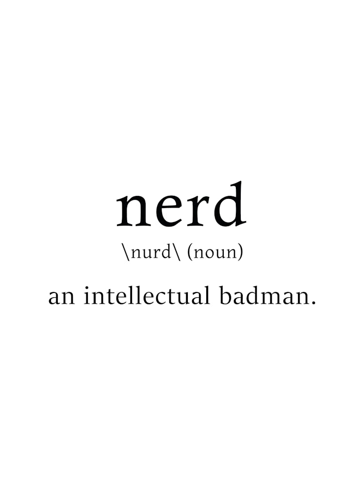 Nerd Definition Poster - Dictionary