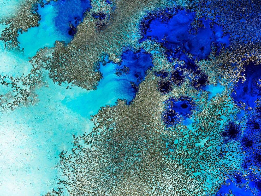Reef Resonance 1