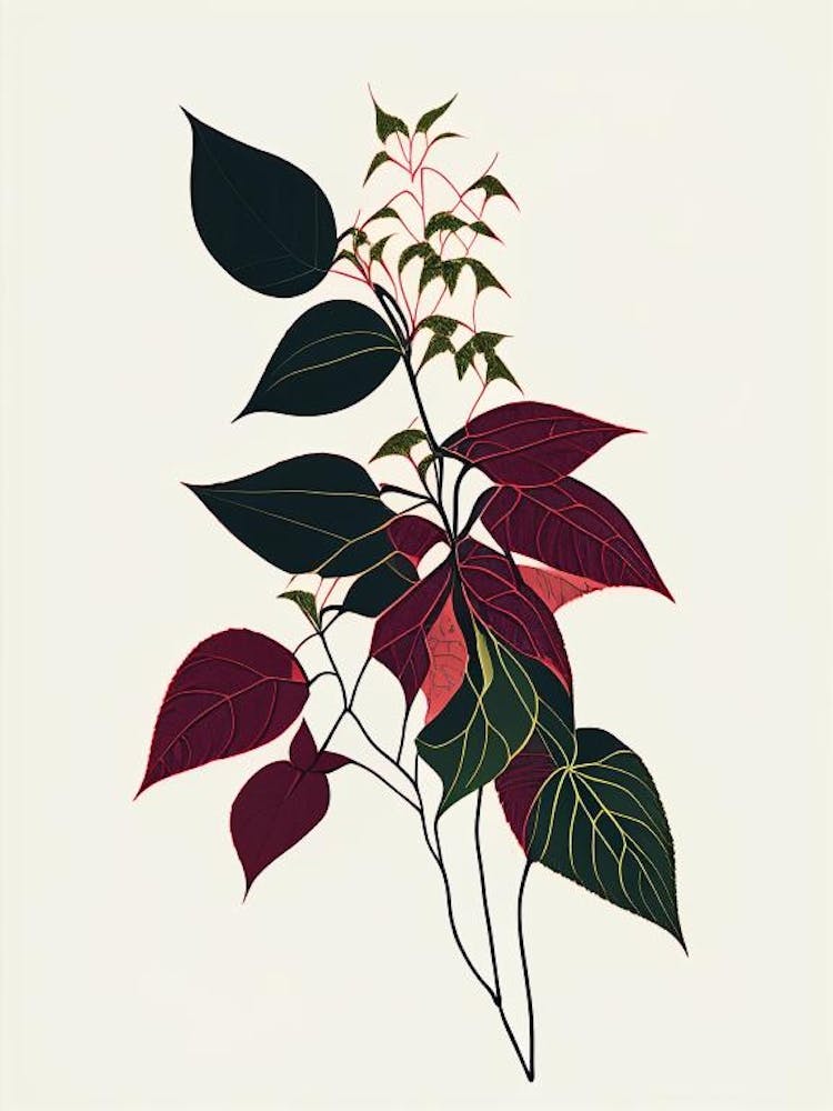 Western Poison Ivy Minimal Line Drawing 2