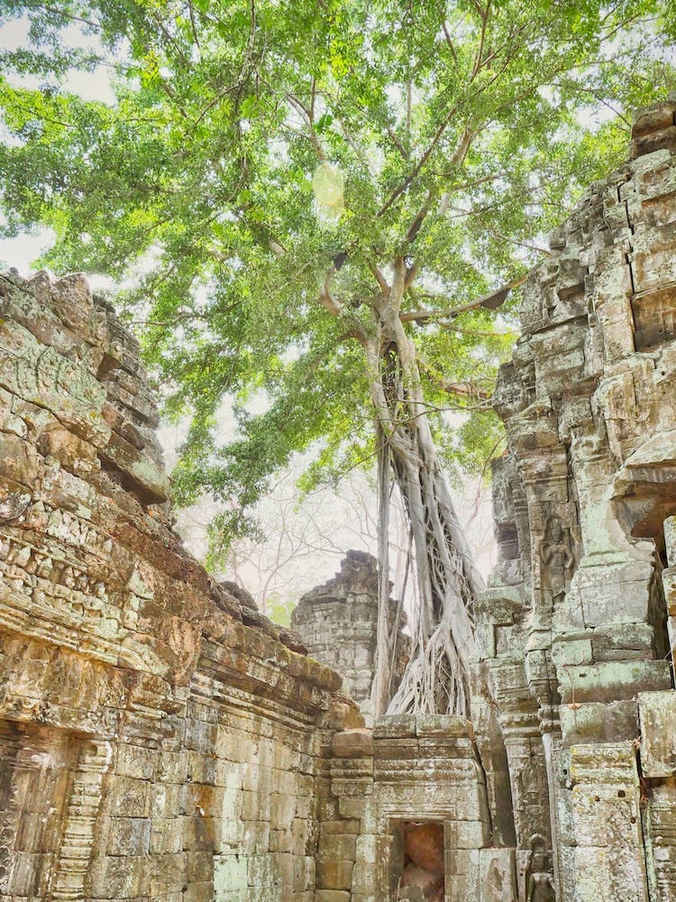 Ein Tempel von Kambodscha