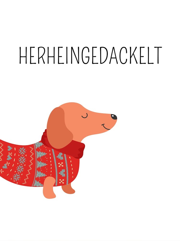HEREINGEDACKELT DOG