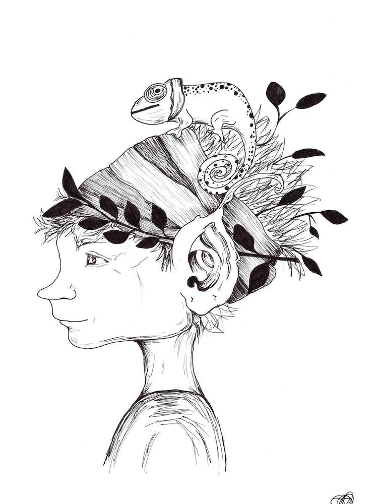 Black and White Pixie with Chameleon
