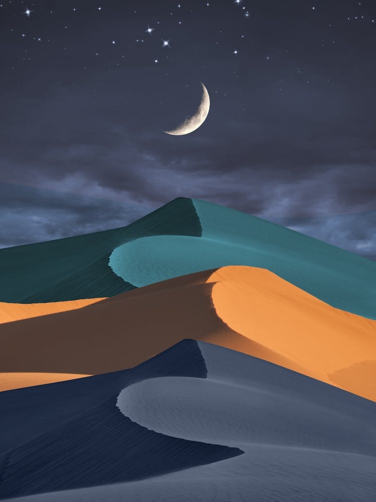 Night Moves