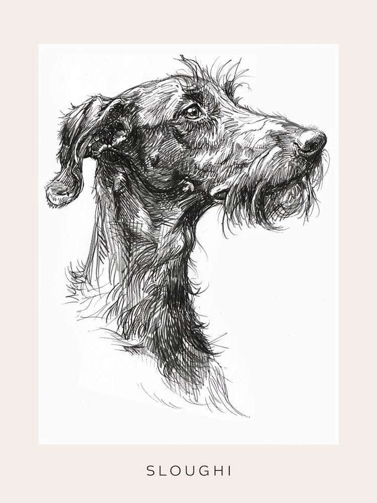 Sloughi Dog Line Sketch 1 Poster