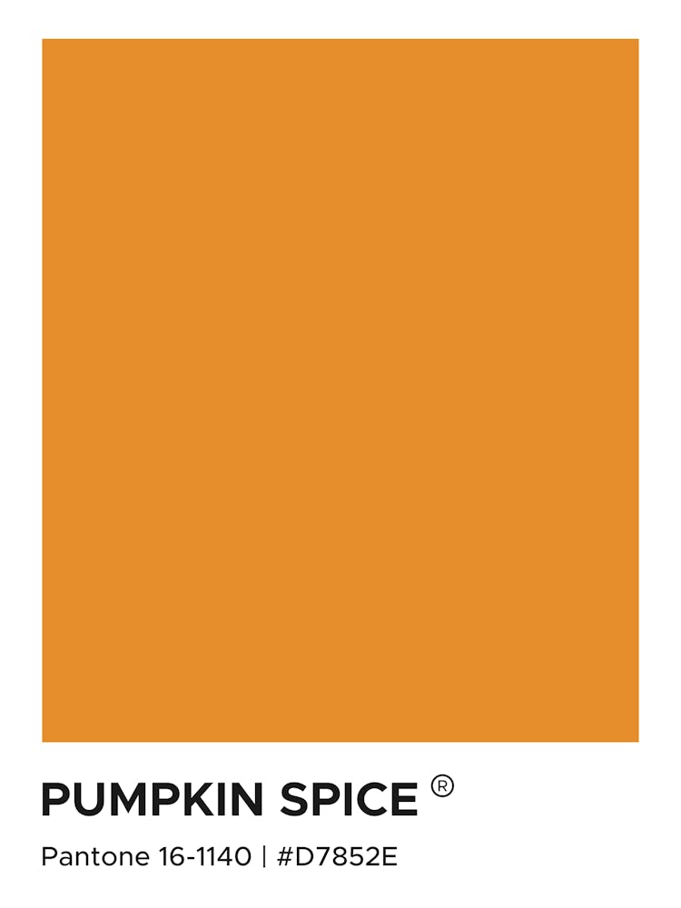 Pumpkin Spice Pantone, Food, Drinks, Orange, cool, pantone, shades, aesthetic, colorful, modern, minimal, modern, kitchen, decor, swatch, mood