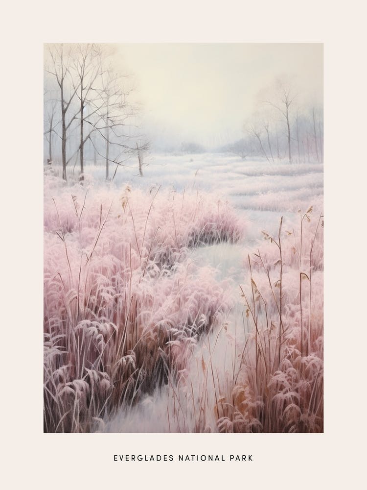 Dreamy Winter National Park Poster  Everglades National Park United States 2