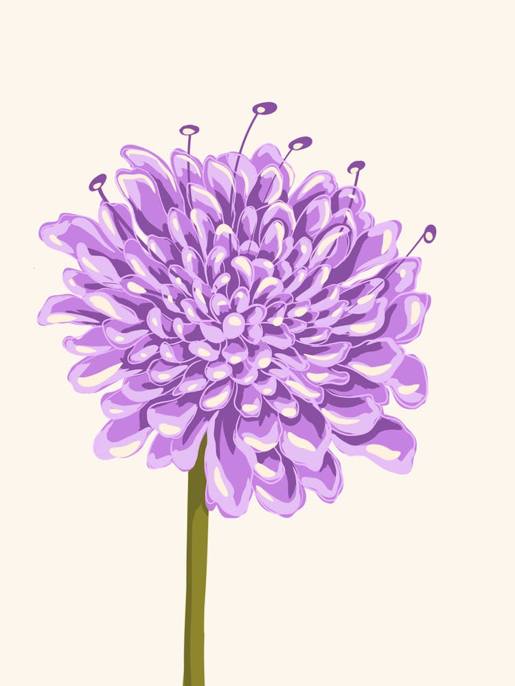 Big Purple Flower