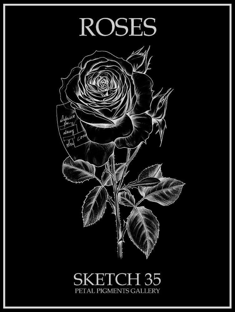 Roses Sketch 35 Poster Inverted