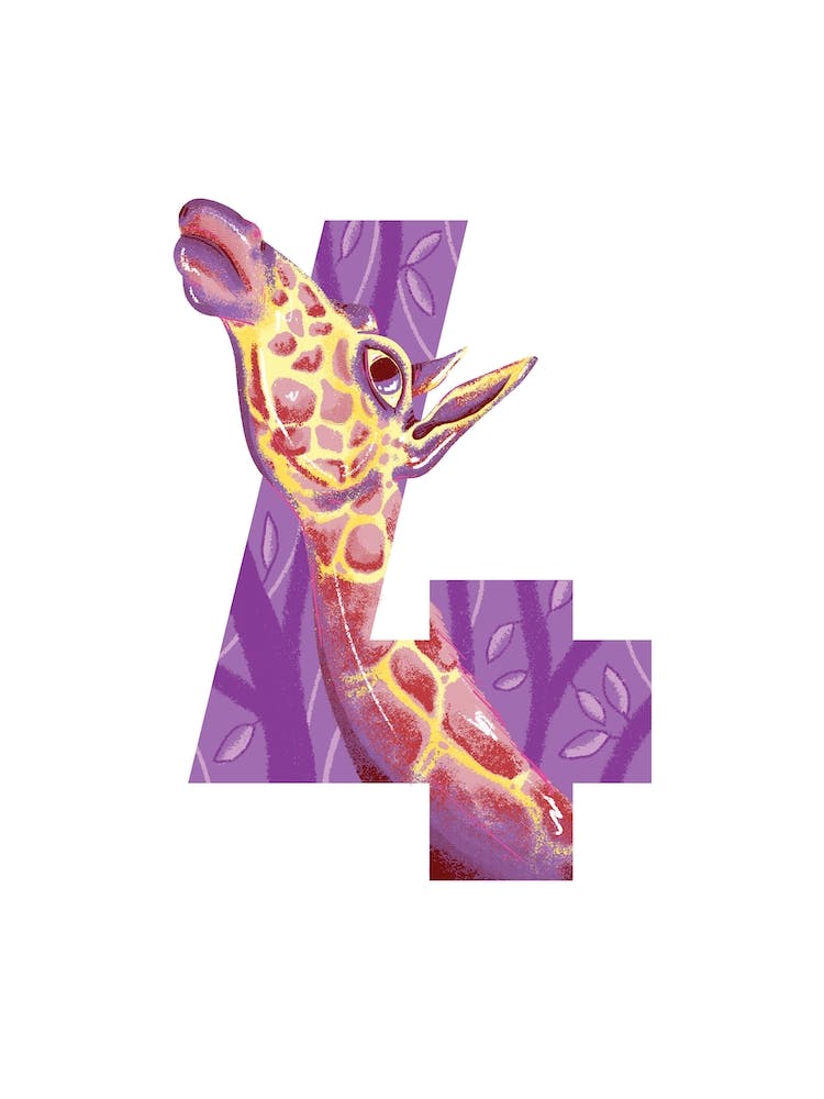 4  Giraffe 